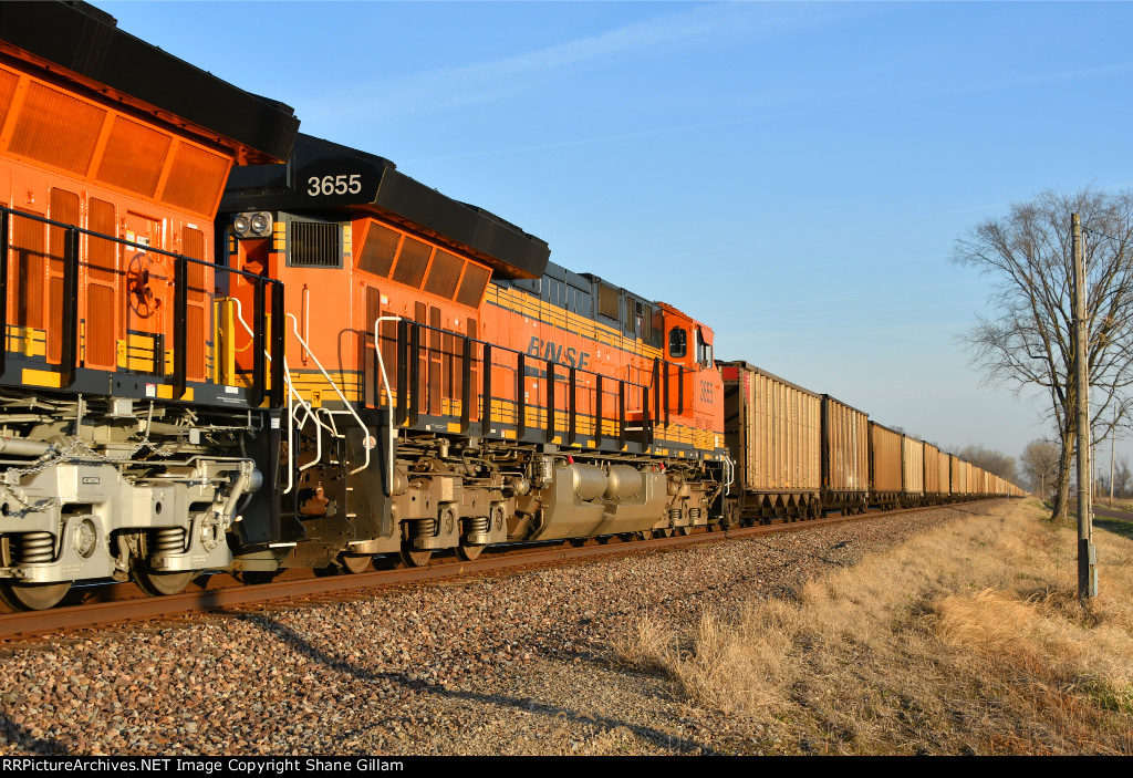 BNSF 3655